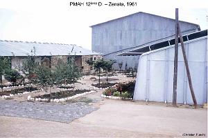 216 ALAT 11 (22)